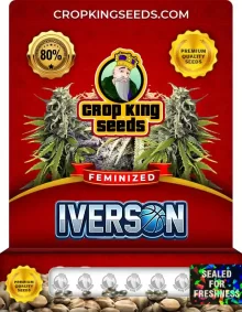 Iverson Feminized