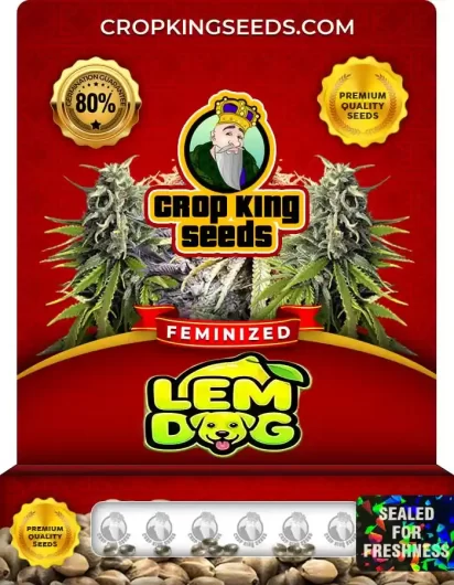 Lem Dog Feminized