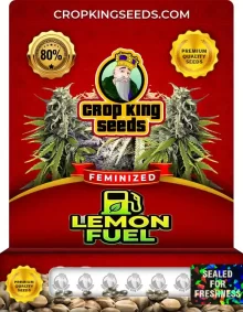 Lemon Fuel Feminized
