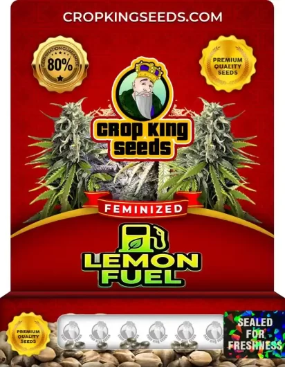 Lemon Fuel Feminized