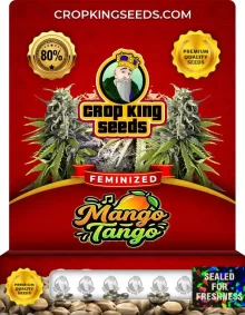 Mango Tango Feminized