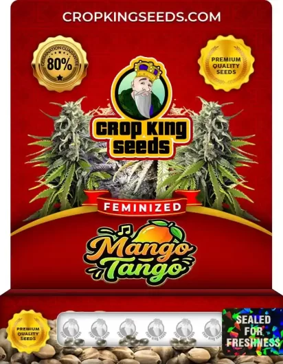 Mango Tango Feminized