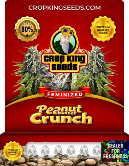Peanut Butter Crunch Feminized