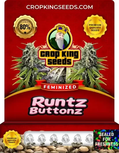 Runtz Buttonz Feminized