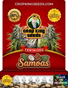 Samoas Feminized