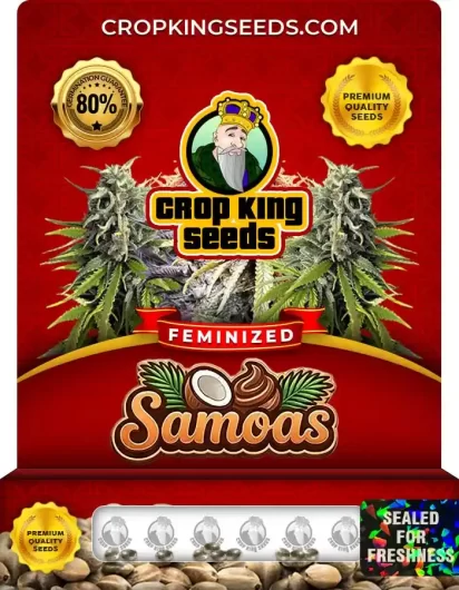 Samoas Feminized