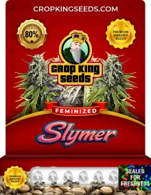 Slymer Feminized