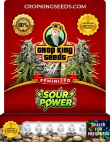 Sour Power Feminized