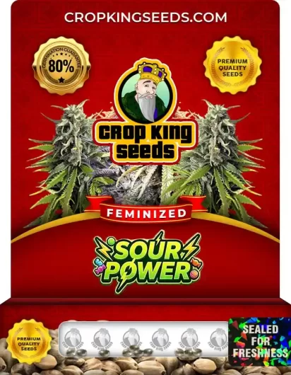 Sour Power Feminized