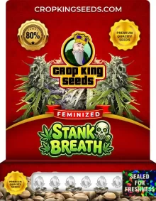 Stank Breath Feminized