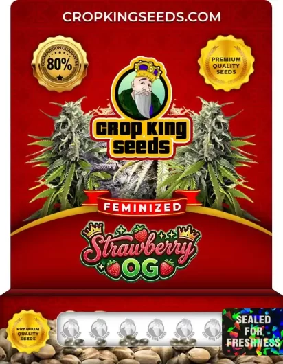 Strawberry OG Feminized