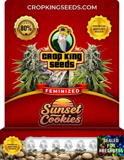 Sunset Cookies Feminized