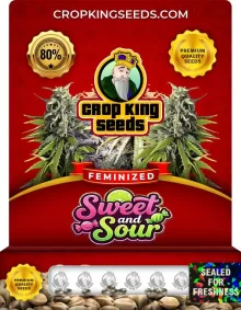 Sweet and Sour Feminized