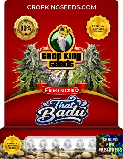 That Badu Feminized