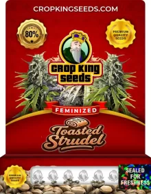 Toasted Strudel Feminized
