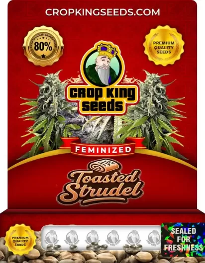 Toasted Strudel Feminized