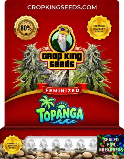 Topanga Feminized