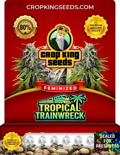 Tropical Trainwreck Feminized