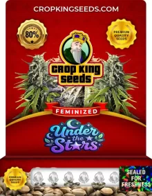 Under the Stars Feminized