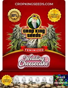 Wedding Cheesecake Feminized