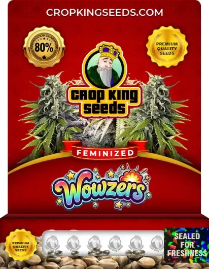 Wowzers Feminized