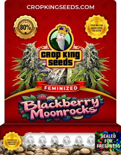 Blackberry Moonrocks Strain