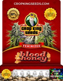 Blood Honey Strain