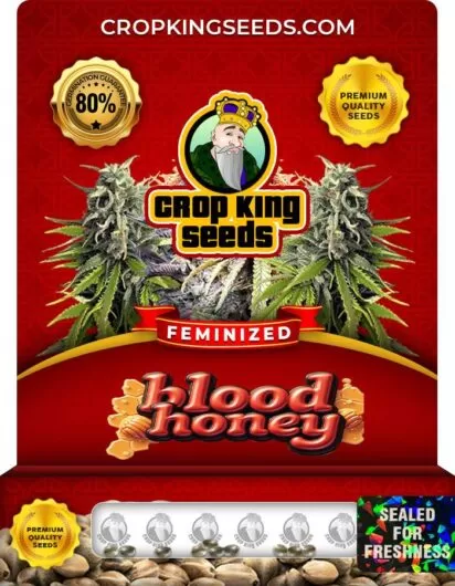Blood Honey Strain