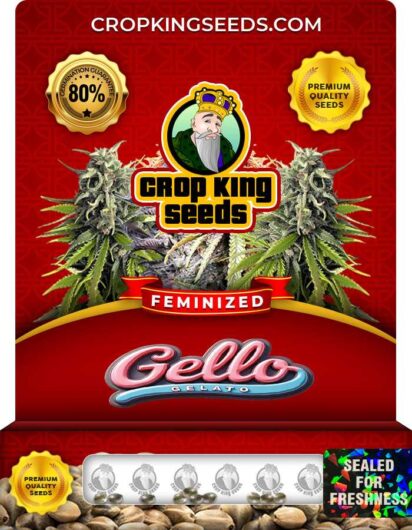 Gello Gelato Strain