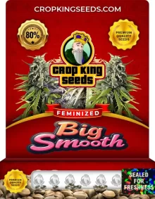 Big Smooth Strain