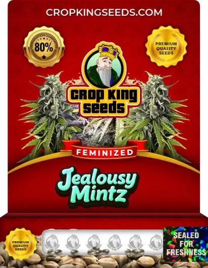 Jealousy Mintz Strain