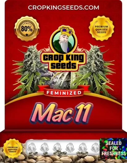 Mac 11 Strain