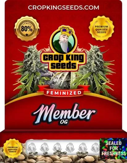 Member OG Strain
