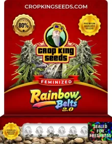Rainbow Belts 2.0 Strain