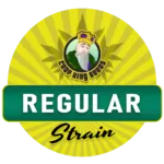 Regular Marijuana Seeds