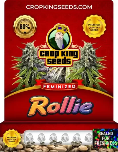 Rollie Strain