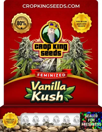 Vanilla Kush Strain