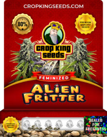 Alien Fritter Strain Feminized