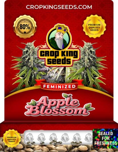 Apple Blossom Feminized