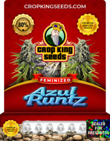 Azul Runtz Strain Feminized