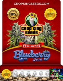 Blueberry Jam Strain