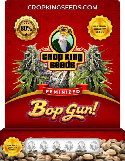 Bop Gun Strain