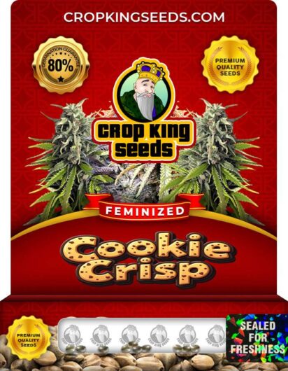 Cookie Crisp Feminized