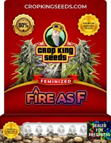 Fire as F Feminized