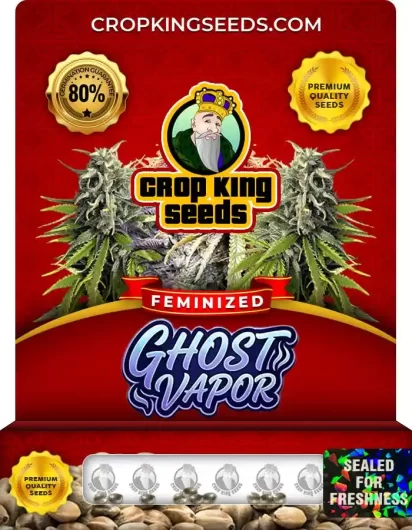 Ghost Vapor Feminized