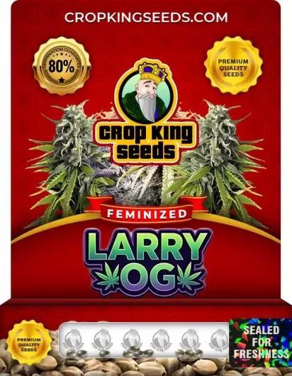 Larry OG Feminized