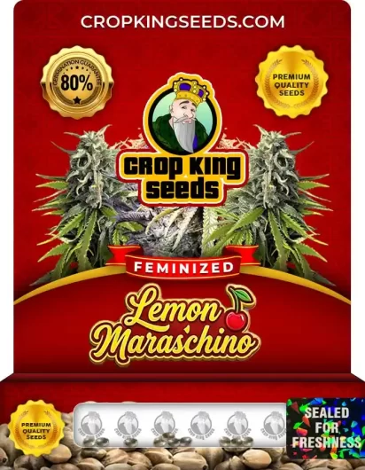 Lemon Maraschino Feminized