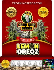 Lemon Oreoz Feminized