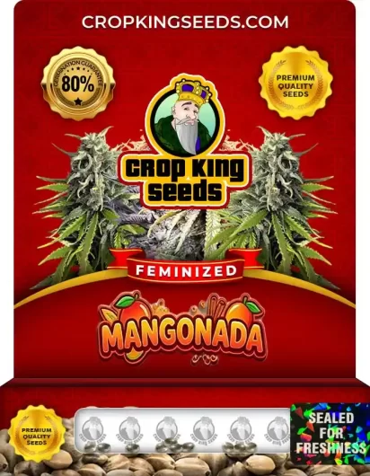 Mangonada Feminized