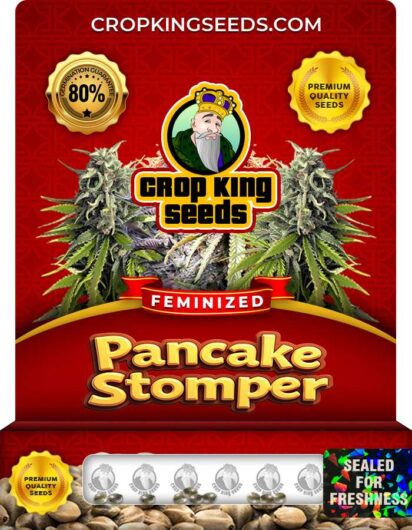 Pancake Stomper Feminized